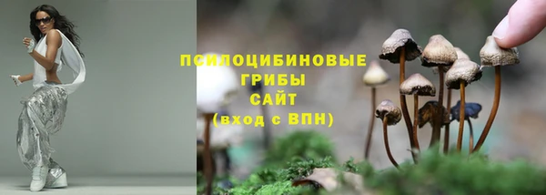 ПСИЛОЦИБИНОВЫЕ ГРИБЫ Лабытнанги