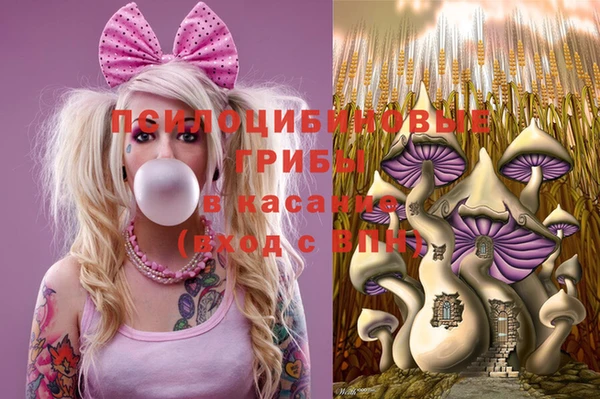 ПСИЛОЦИБИНОВЫЕ ГРИБЫ Лабытнанги