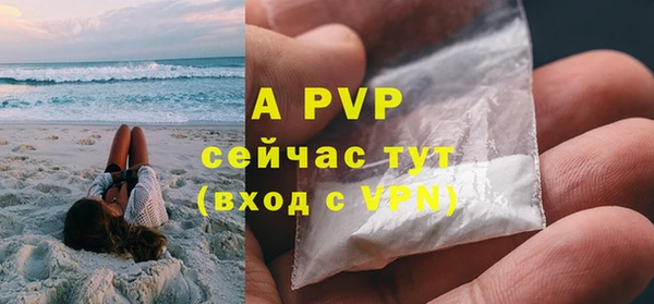 ПСИЛОЦИБИНОВЫЕ ГРИБЫ Лабытнанги